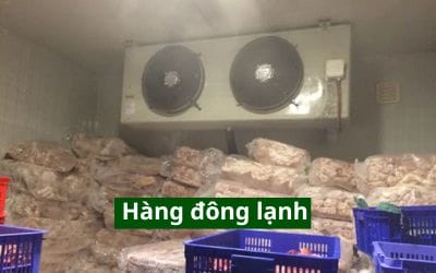 Hàng đông lạnh