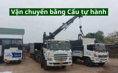 Vận chuyển bằng cẩu tự hành