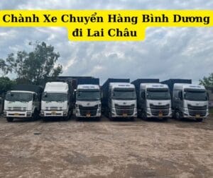 Chành xe Chuyển Hàng Bình Dương đi Lai Châu