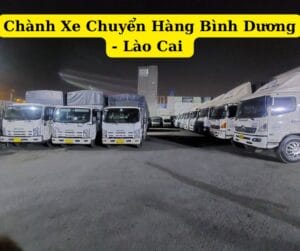 Chành xe chuyển hàng bình dương đi lào cai