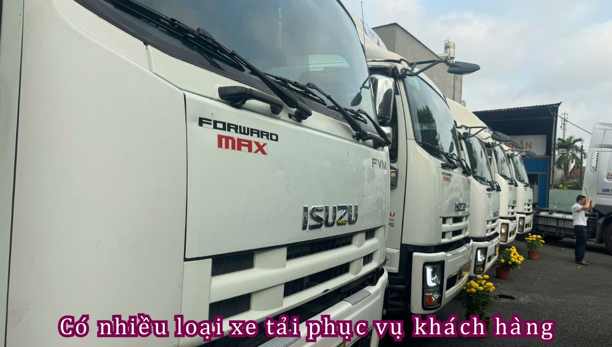 Chuyển hàng từ HCM đi Hải Phòng