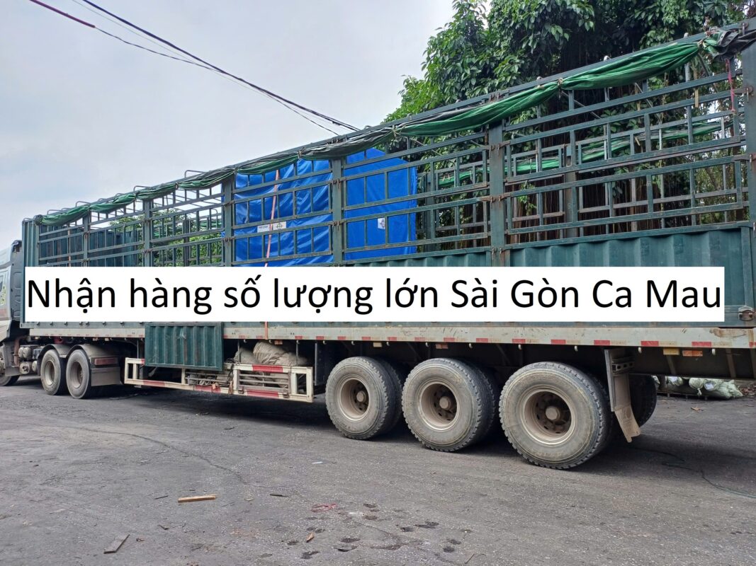Nhận hàng số lượng lớn Sài Gòn Ca Mau