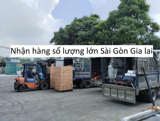 Nhận hàng số lượng lớn Sài Gòn Gia lai