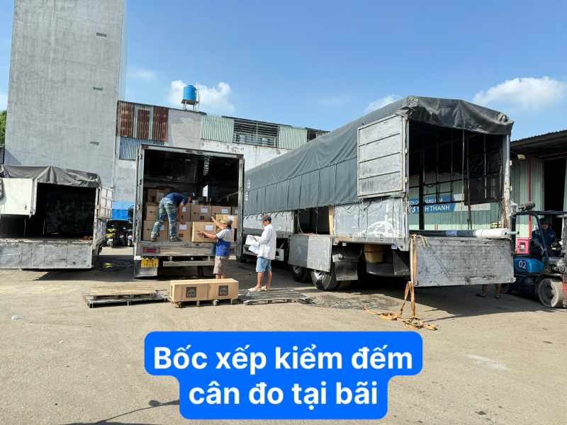 Bốc xếp cân đo kiểm đếm tại bãi 