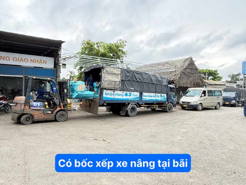 bốc xếp nâng hạ tại bãi 