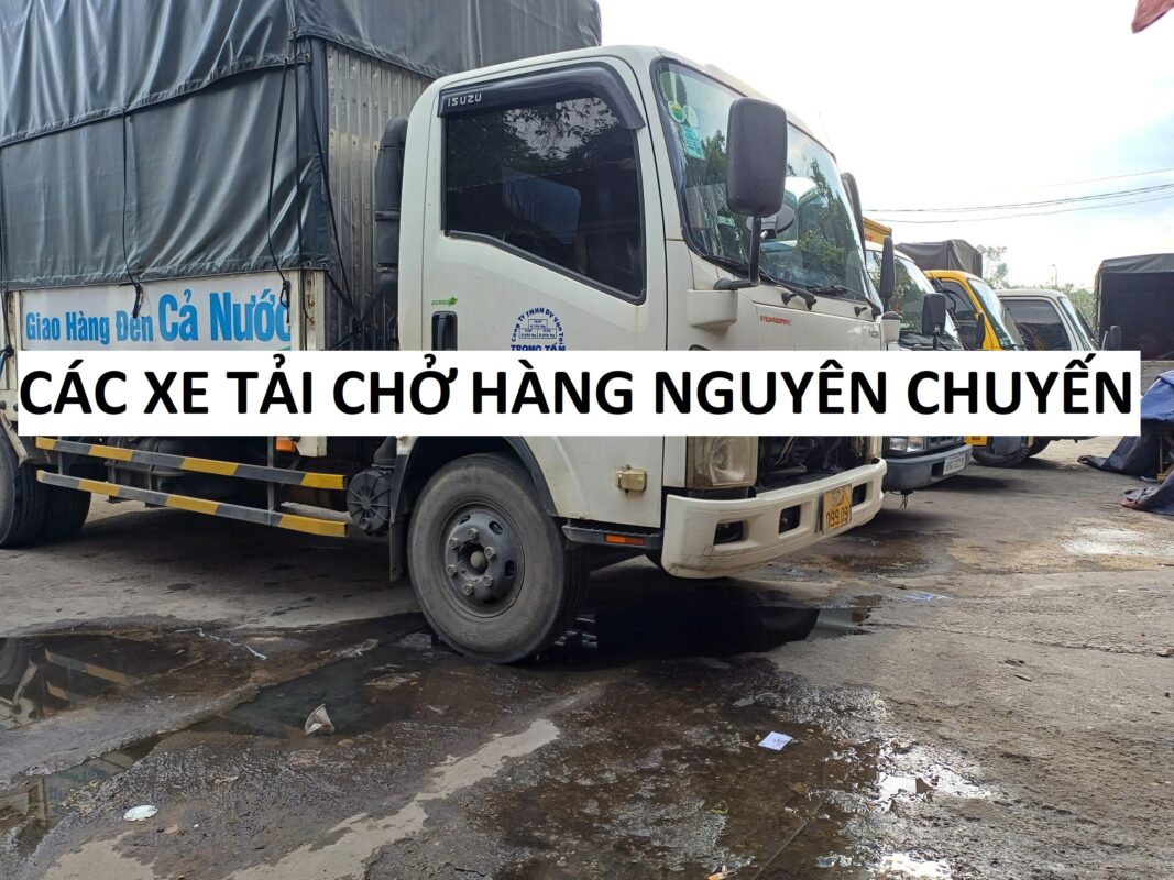 Các xe tải chở hàng nguyên chuyến
