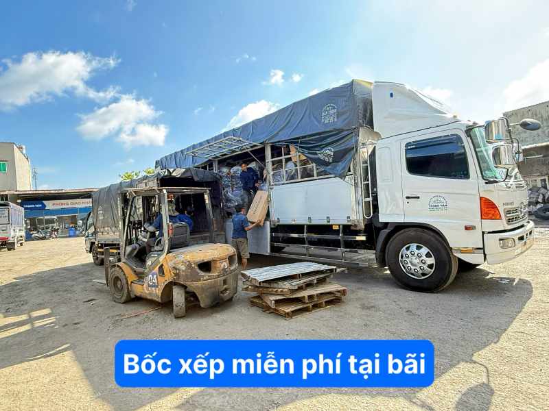 bốc xếp miễn phí tại bãi