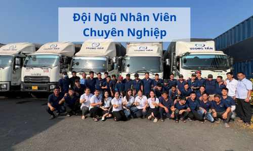 Đội Ngũ Nhân Viên Chuyên Nghiệp