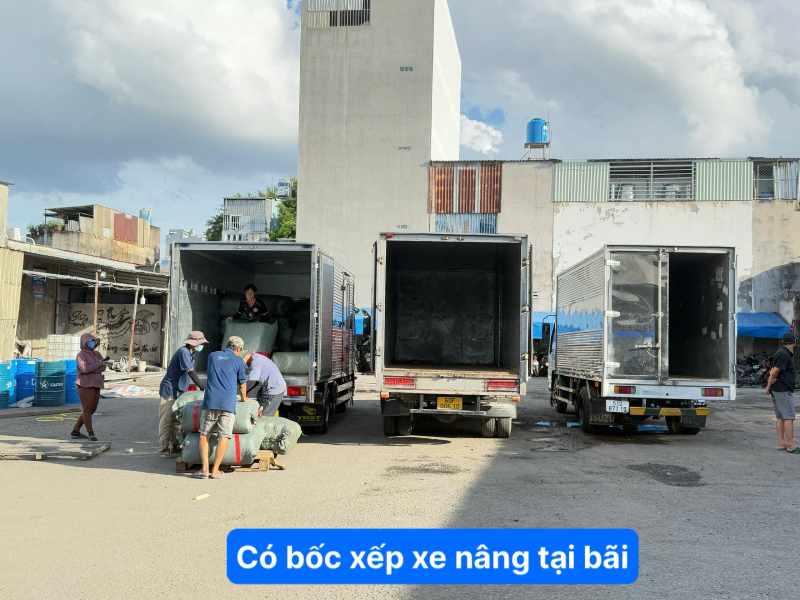 Có bốc xếp xe nâng tại bãi