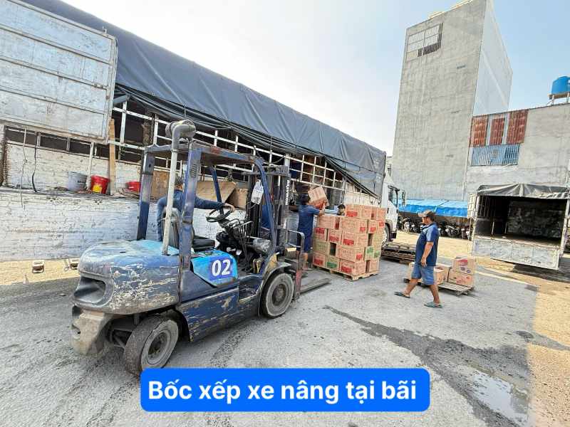 Có bốc xếp xe nâng tại bãi 