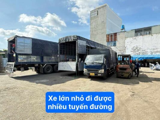 xe lớn nhỏ đi được nhiều tuyến