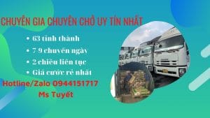 Vận chuyển hàng từ Bạc Liêu đi Hồ Chí Minh