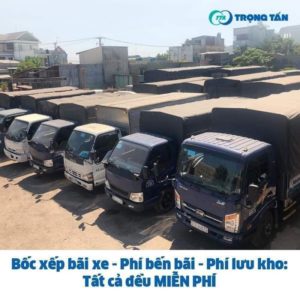 Điểm nổi bật của Trọng Tấn