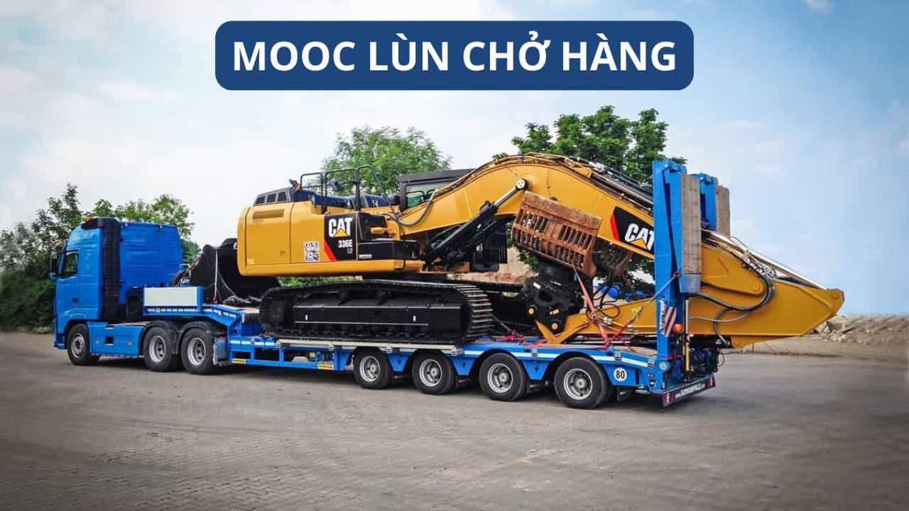 Mooc lùn chở hàng