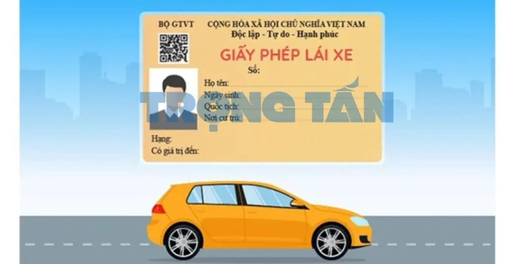 Cac loai bang lai xe