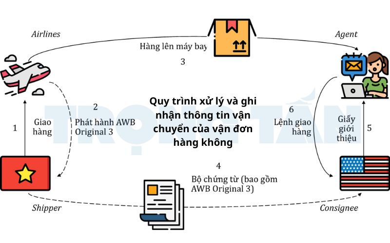 van-don-hang-khong 