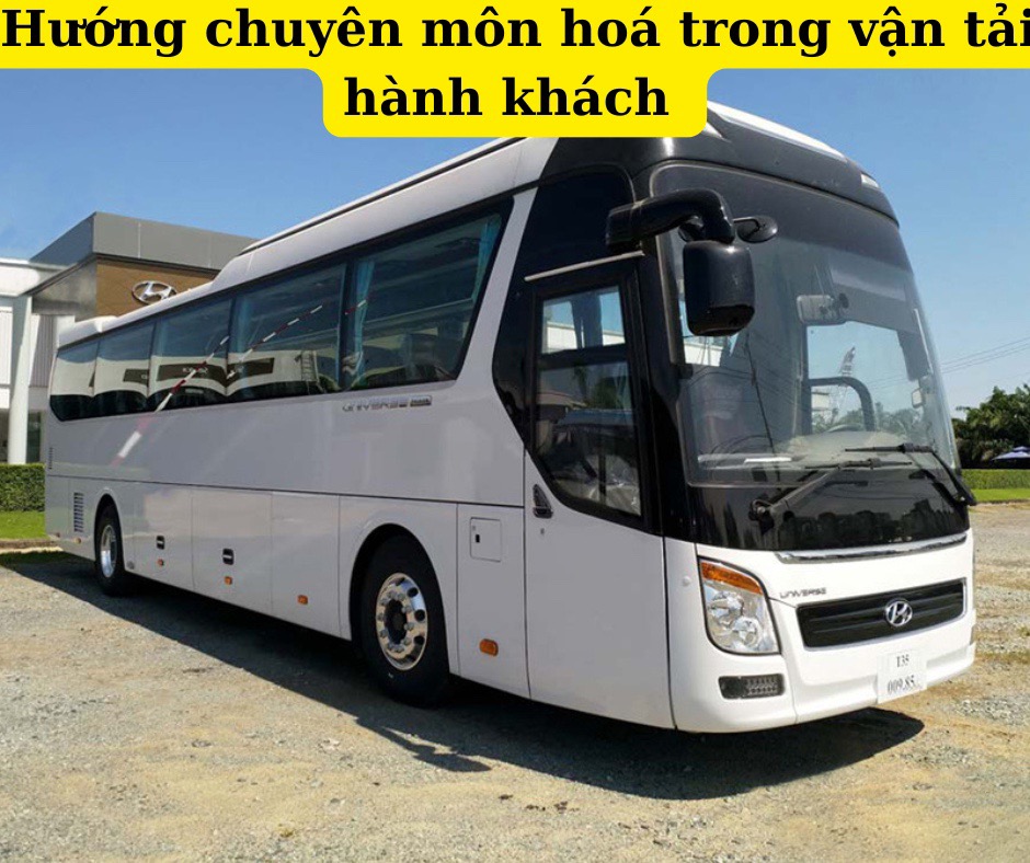 Hướng chuyên môn hoá trong ngành vận tải hành khách