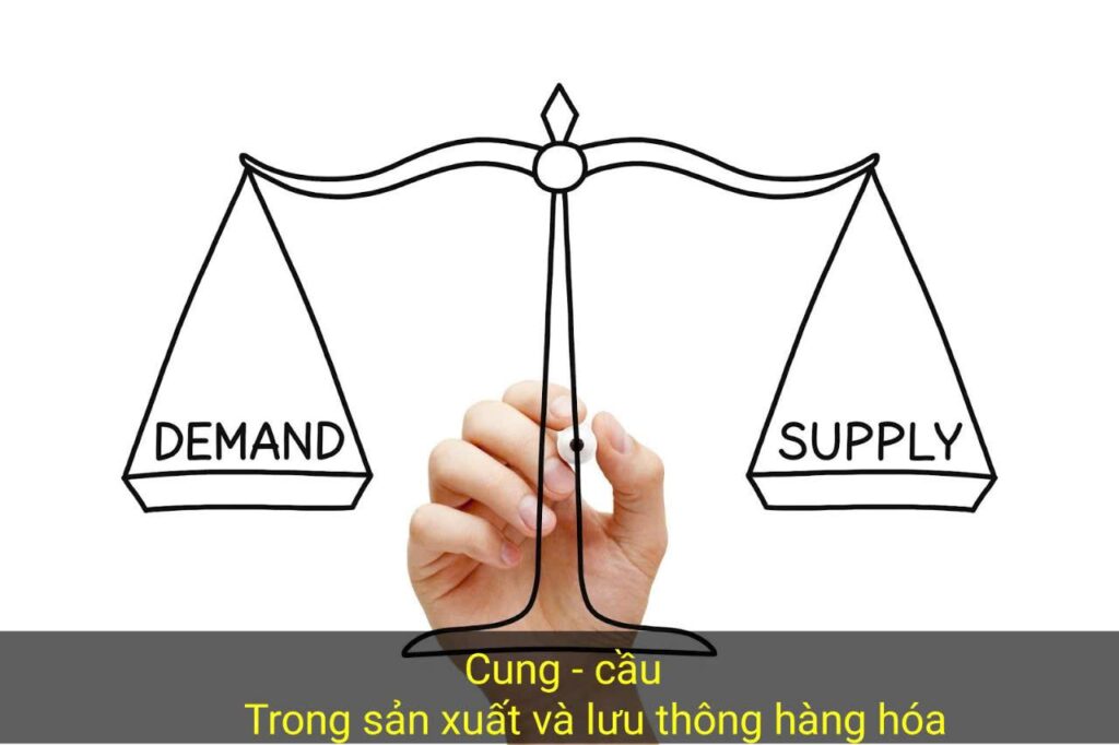 Cung Và Cầu Trong Sản Xuất Và Lưu Thông Hàng Hóa