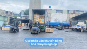 Giải pháp vận chuyển hàng hóa chuyên nghiệp