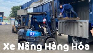 Xe nâng hàng hóa