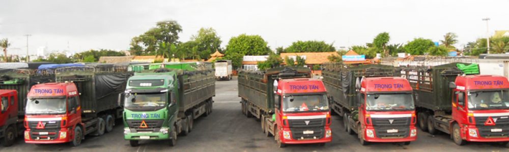 Giá Vận Chuyển Contaier Mui Bat Giá Vận Chuyển Contaier Mui Bat